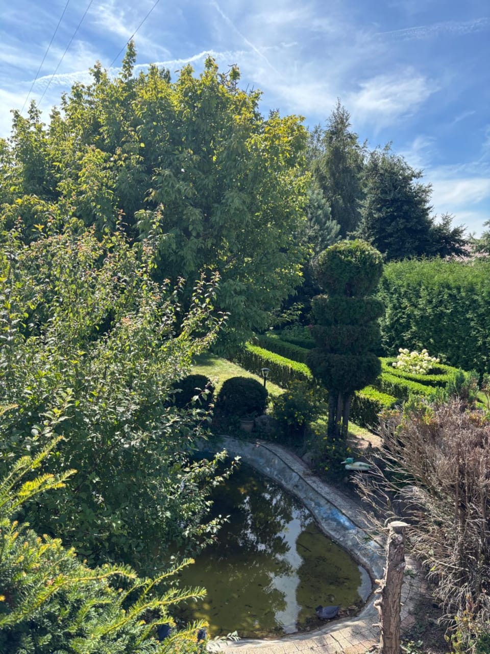 Spring, Natural landscape