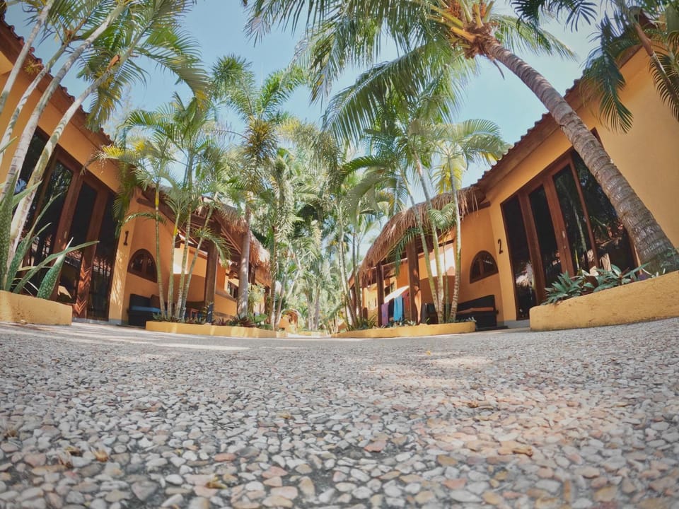 Property building, Day