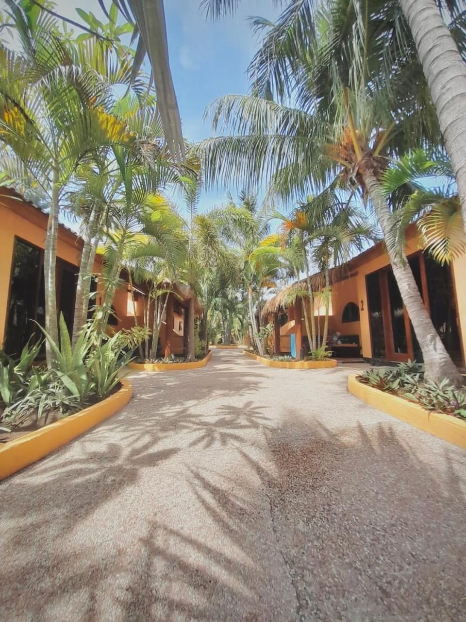 Property building, Day, Street view