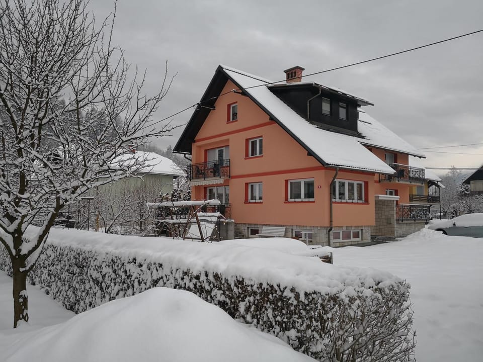 Winter