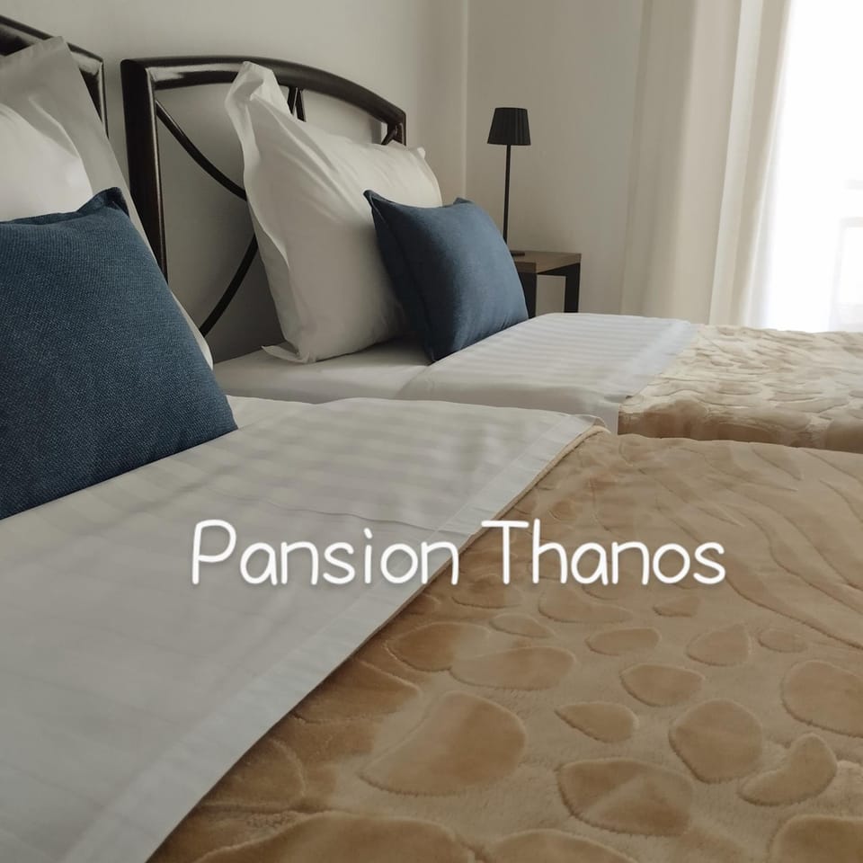 Thanos ,Rooms and Apartments Apartment in Halkidiki