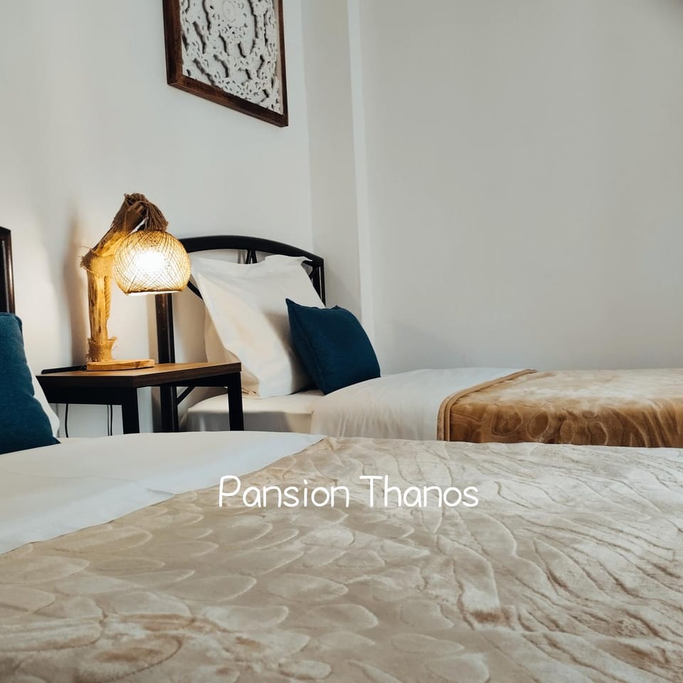 Thanos ,Rooms and Apartments Apartment in Halkidiki
