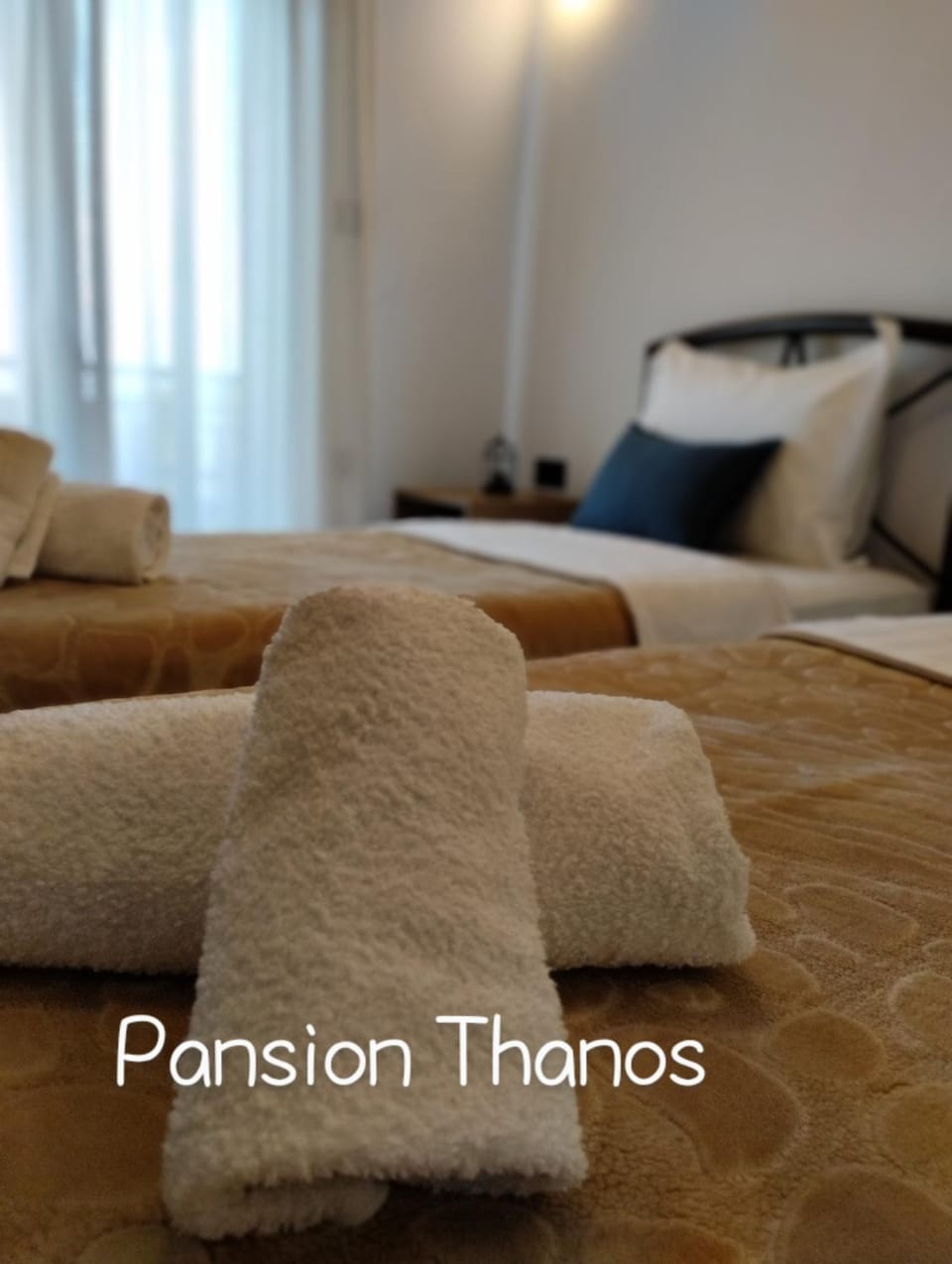 Thanos ,Rooms and Apartments Apartment in Halkidiki