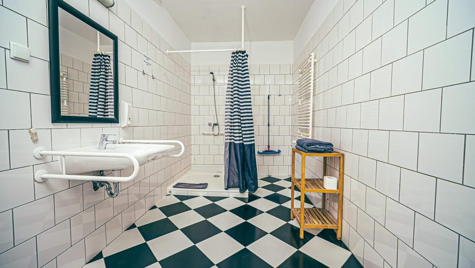 Shower, Toilet, Bathroom, Facility for disabled guests