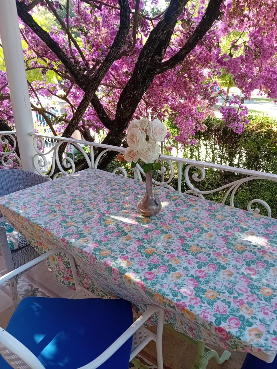 La casa dei Paggi Bed and Breakfast in Sestri Levante