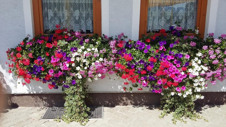 Garden, Balcony/Terrace