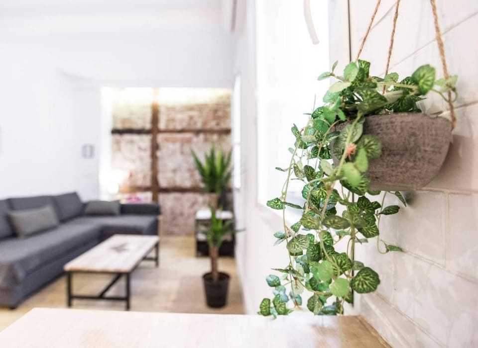 INTIMATE AND ARTISTIC FLAT WIFI PUERTA DEL SOL Apartment in Centro