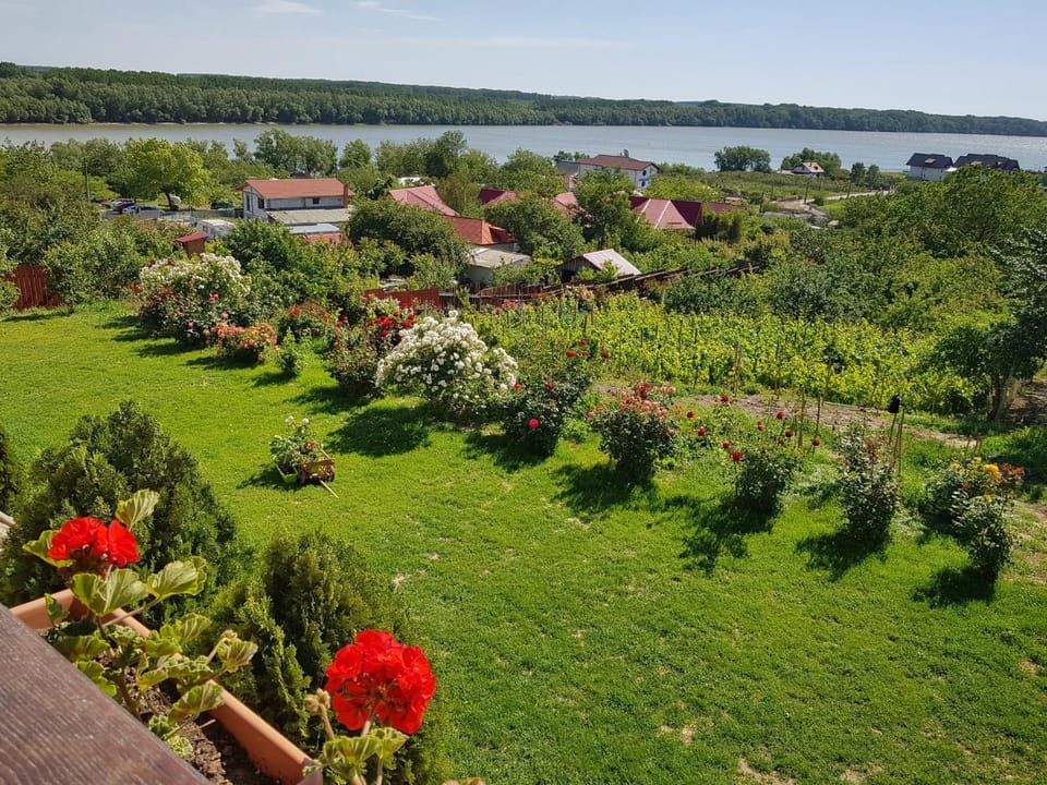 City view, Garden view, Landmark view, River view
