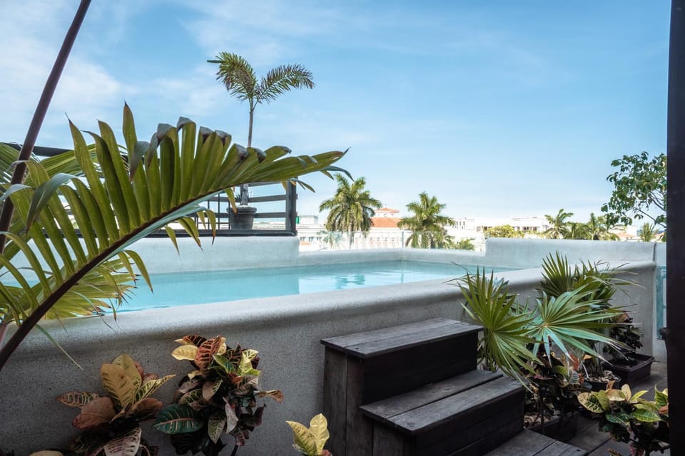 Day, Natural landscape, Pool view, Swimming pool