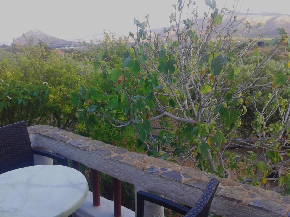 Garden view, Mountain view, Sea view