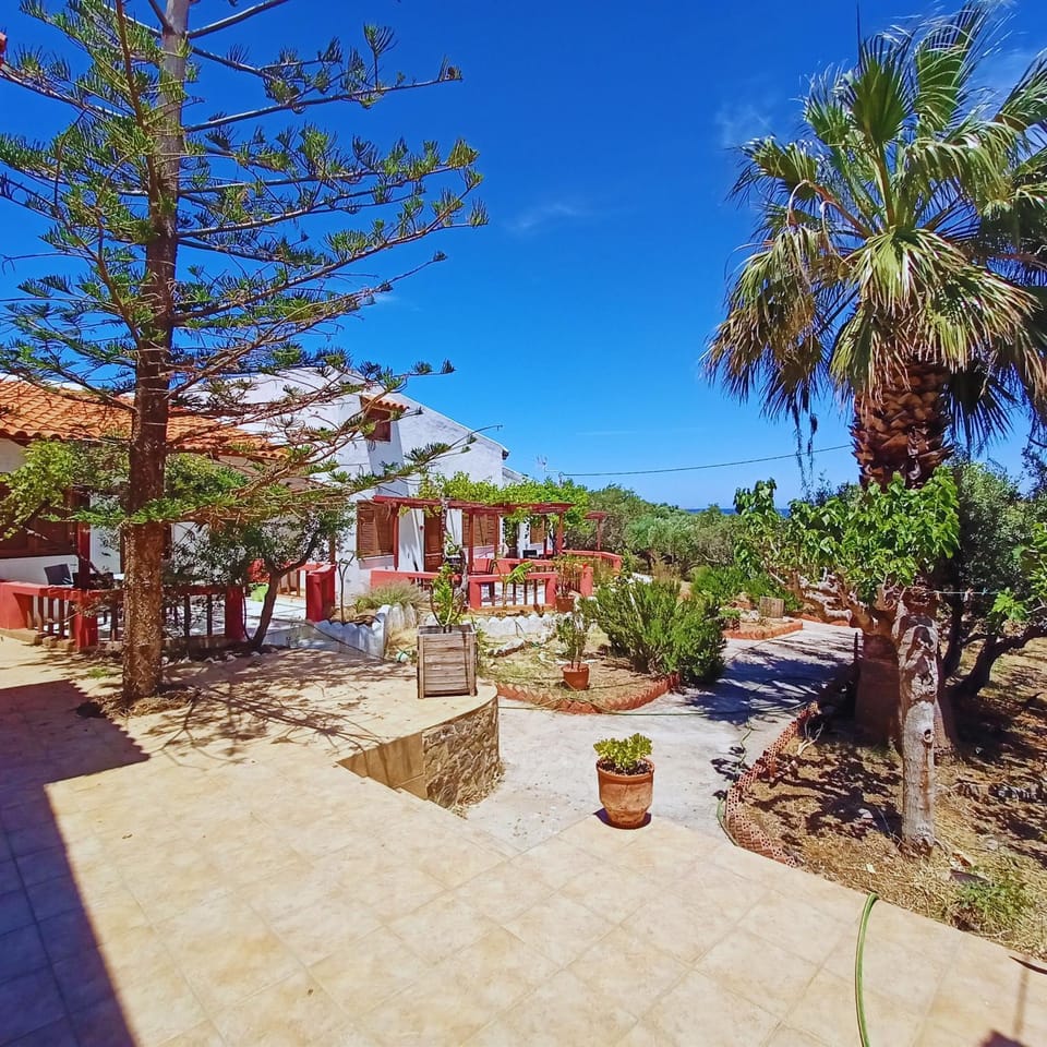 Property building, Patio, Natural landscape, Garden, Garden view