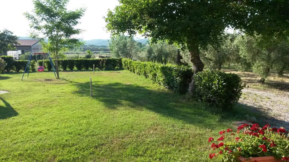 Bird's eye view, Garden, Garden view