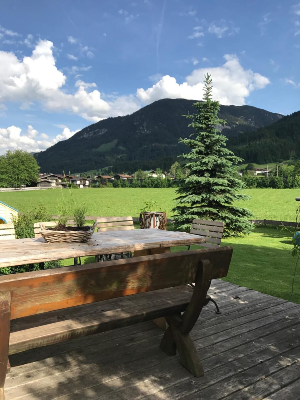 Garden view