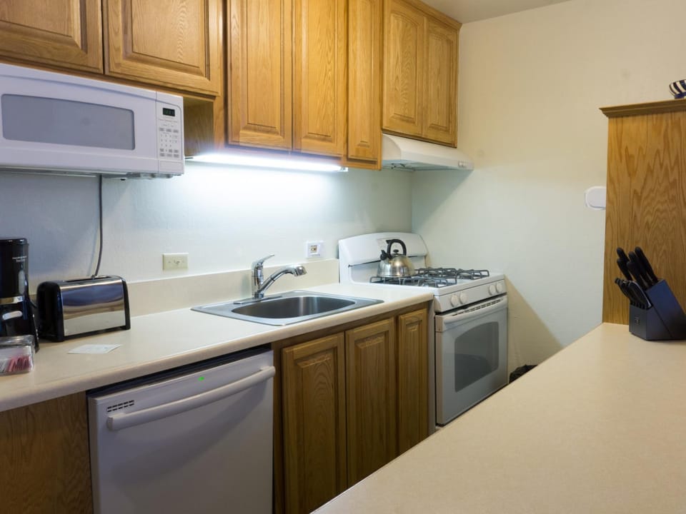 Studio- Fireplace, Full kitchen, balcony, Walk the Village Apartment in Northstar Drive