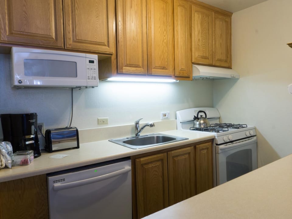 Studio- Fireplace, Full kitchen, balcony, Walk the Village Apartment in Northstar Drive