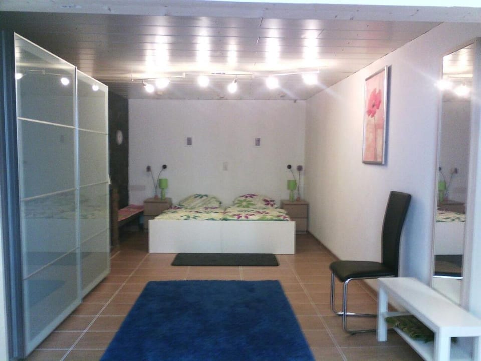 flats-4u - Cosy, quite & clean apartments in the city ( Apt. 3 ) Apartment in Bonn