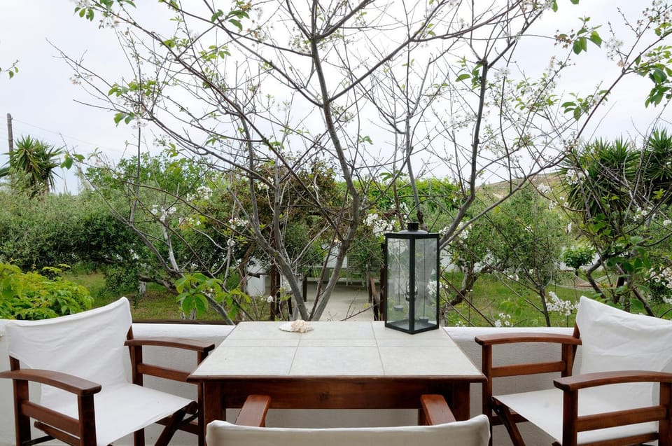 Patio, Day