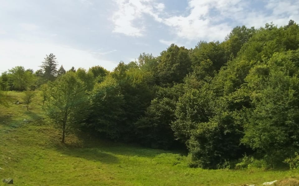 Natural landscape