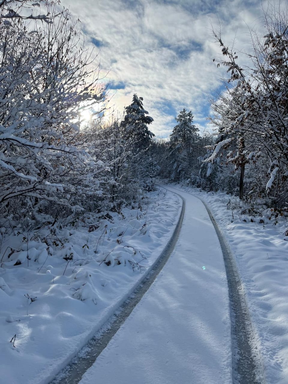 Natural landscape, Winter
