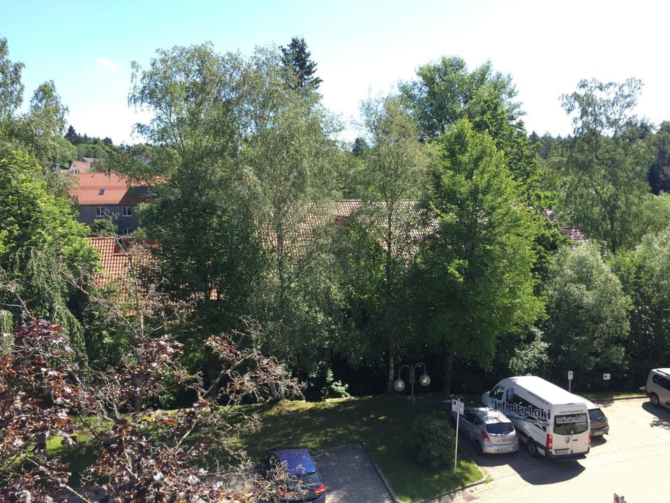 Natural landscape