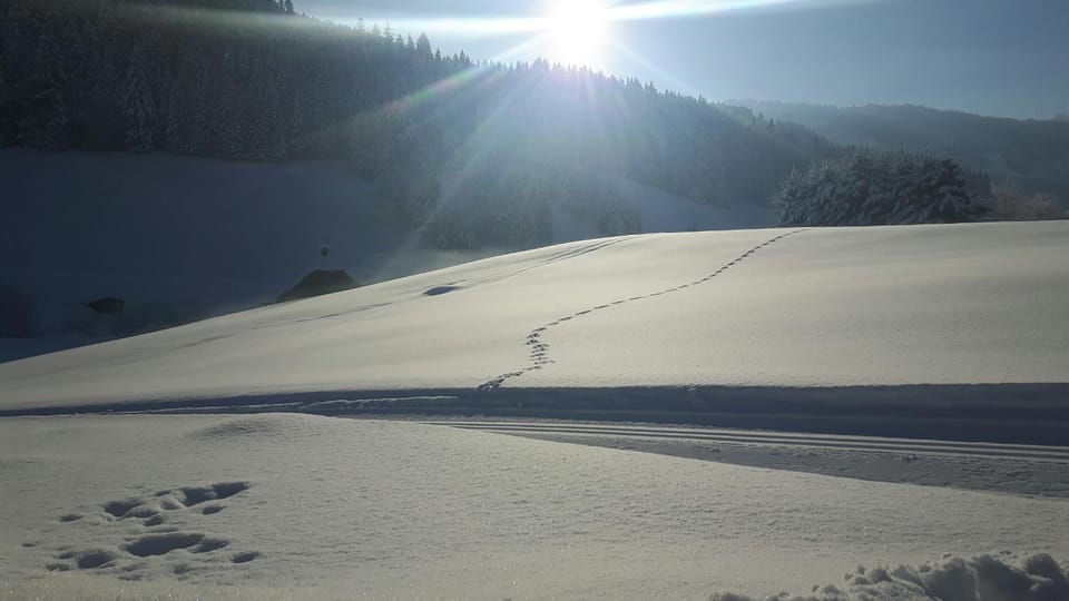 Natural landscape