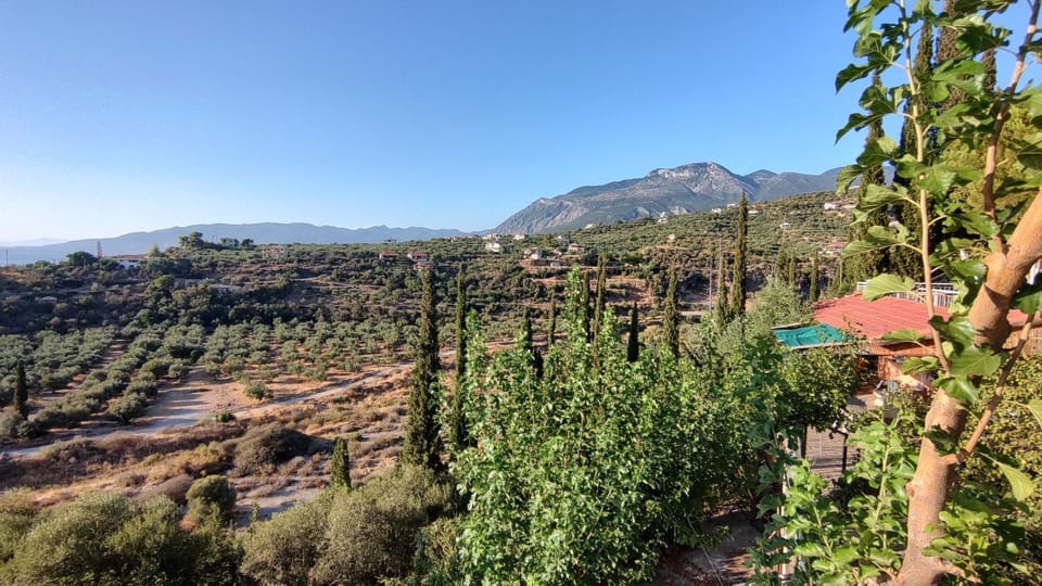 Chirios Napa Studios Apartment in Messenia