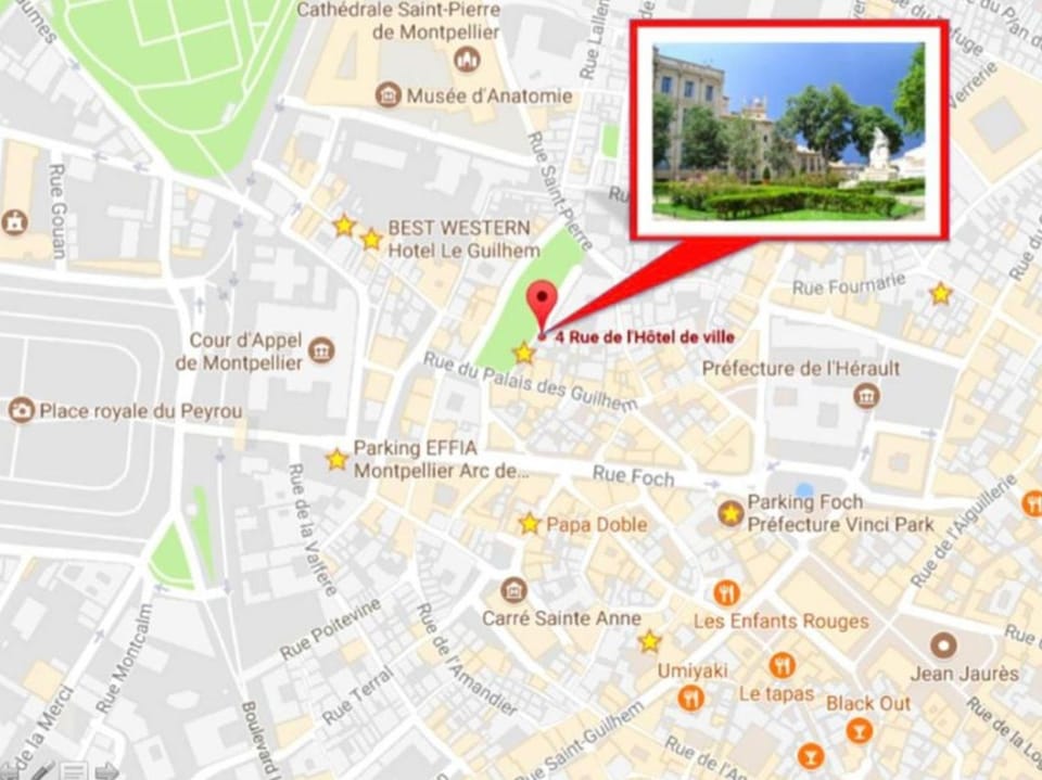 Le Platane de la canourgue Apartment in Montpellier