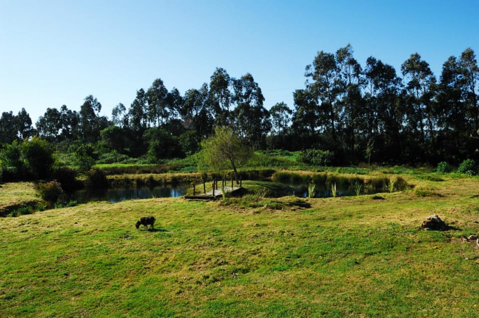 Area and facilities