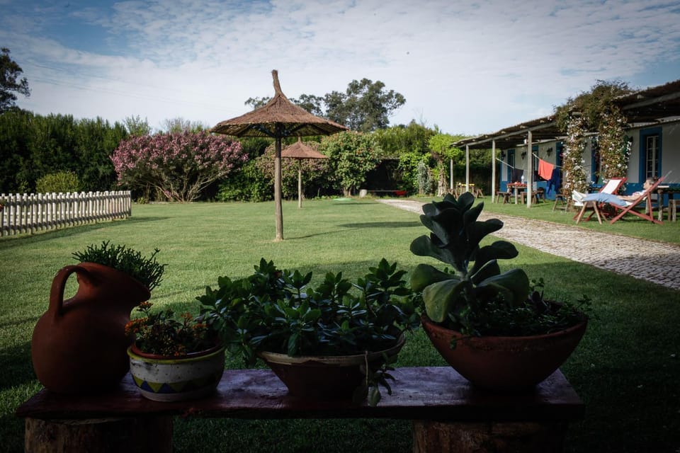 Off site, Garden