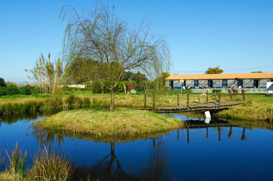Off site, Area and facilities