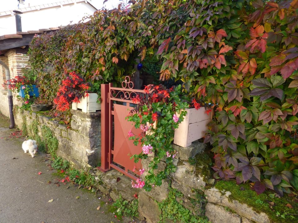 gite le marguerite House in Jura