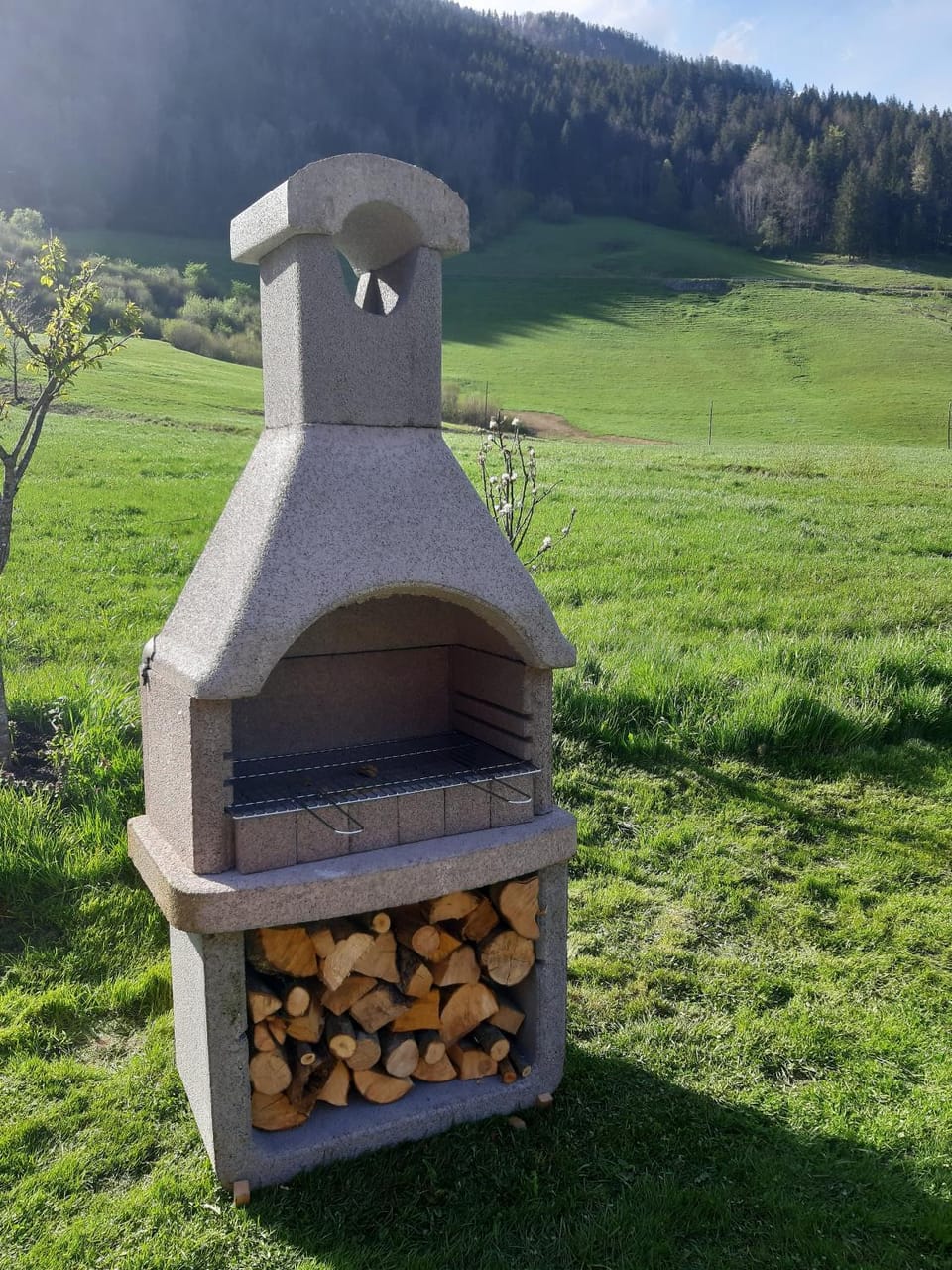BBQ facilities, Garden