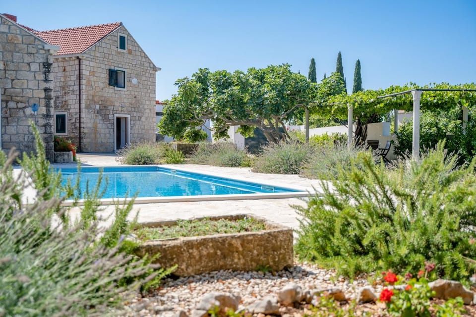 Property building, Spring, Day, Garden, Other, Garden view, Pool view, Swimming pool, sunbed