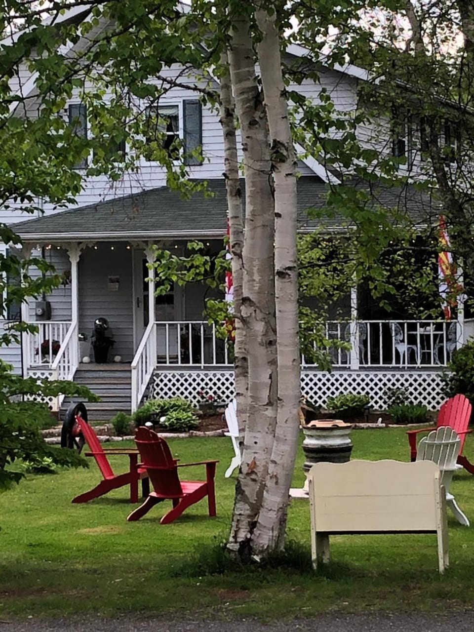 Garden