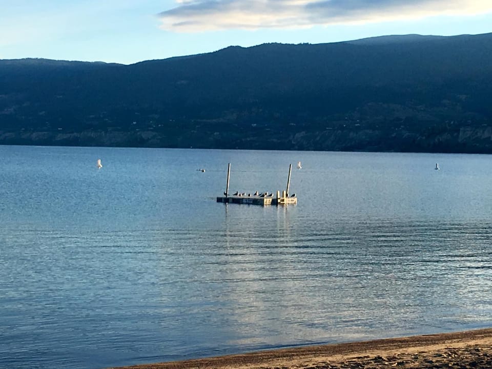 Lake view