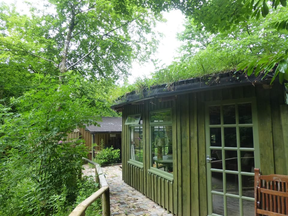 Property building, Natural landscape, Garden