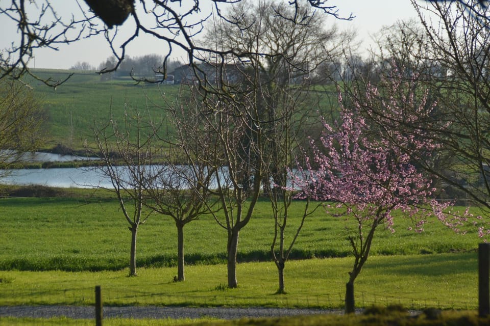 Natural landscape