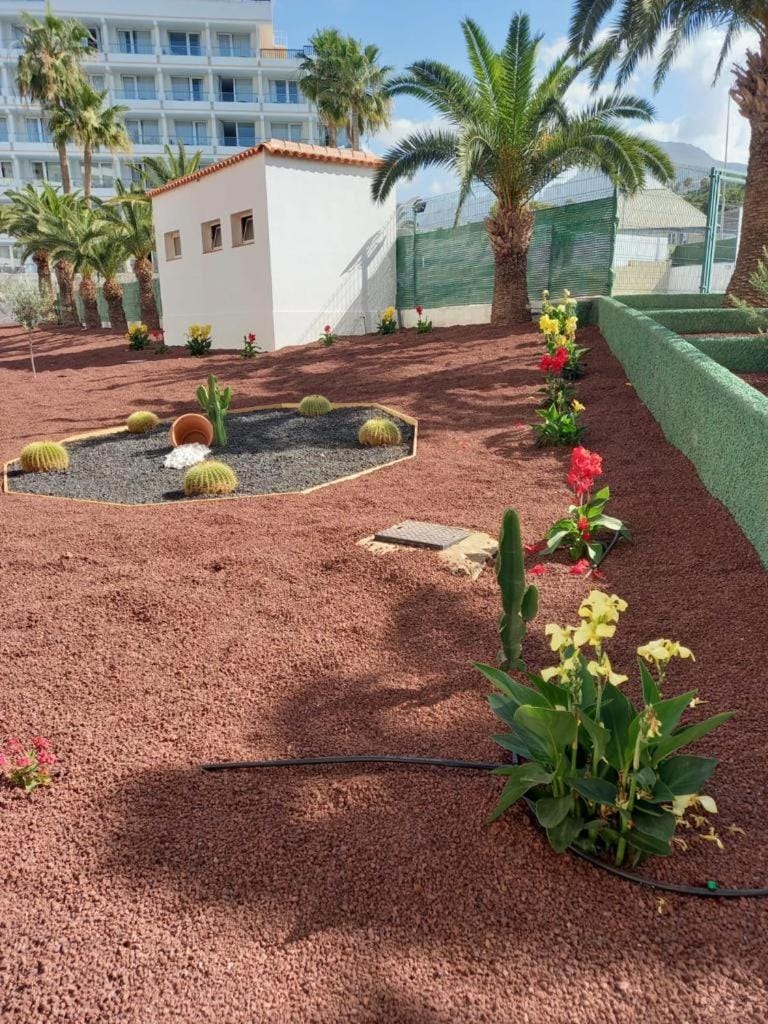Apartamento Vacacional Playa Apartment in Costa Adeje