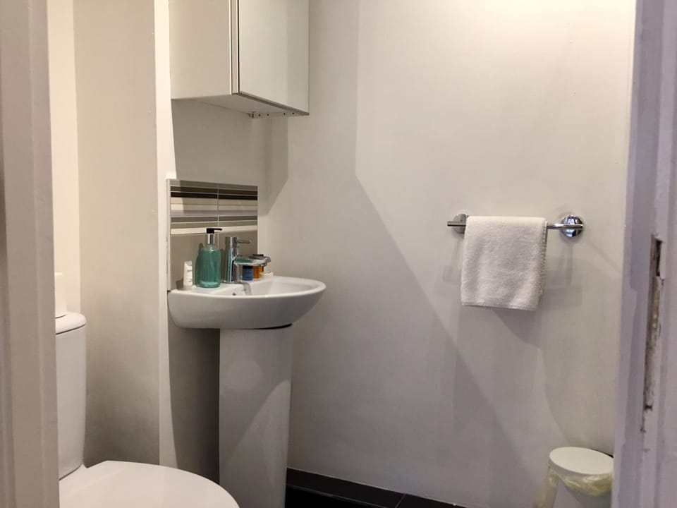 Toilet, Bathroom, towels