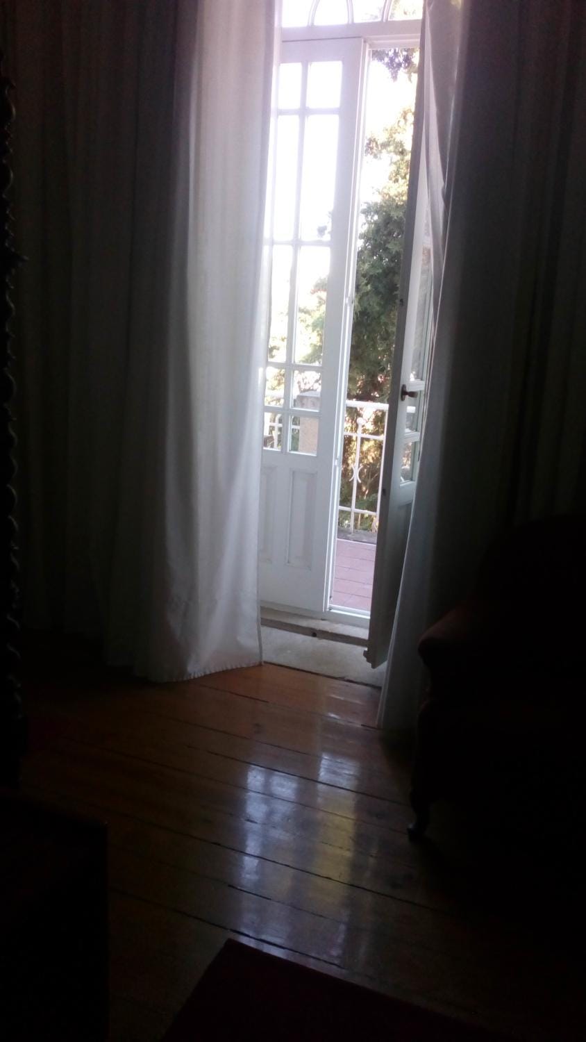 Photo of the whole room, Decorative detail, Garden view