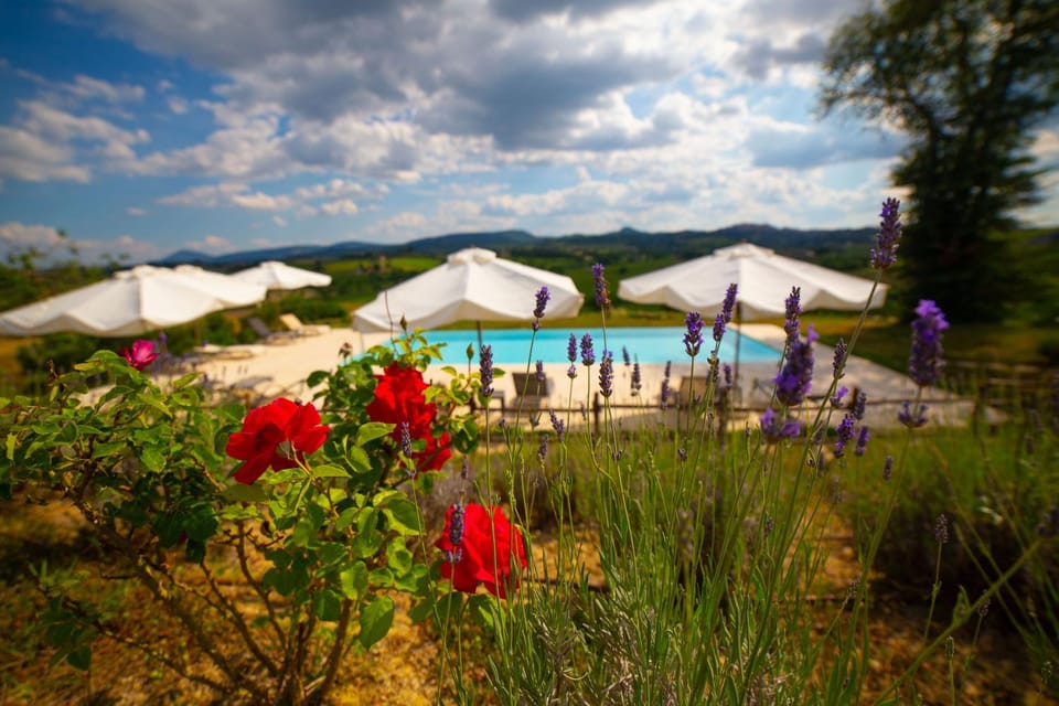 Garden, Pool view, Swimming pool