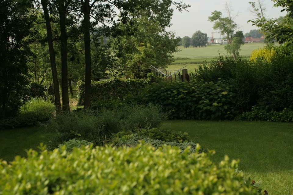 Natural landscape, Garden