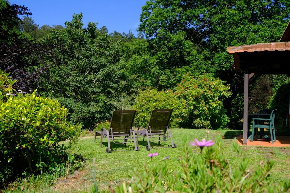 Natural landscape, Garden, Garden view