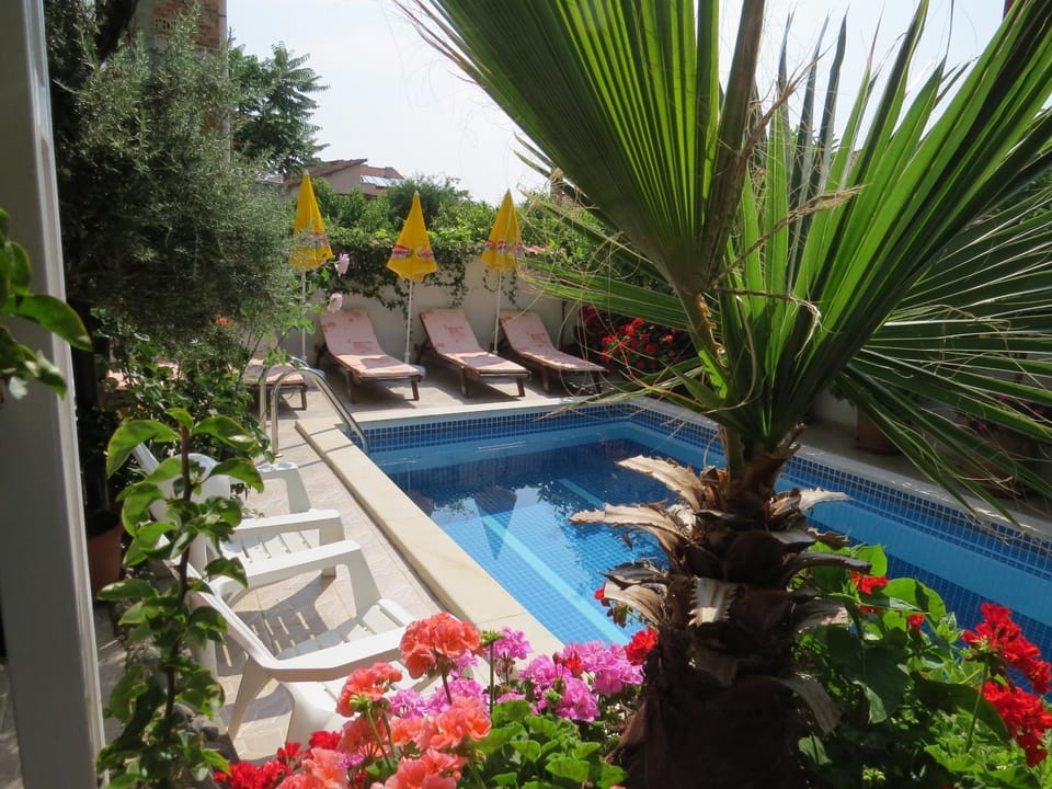Swimming pool, Swimming pool