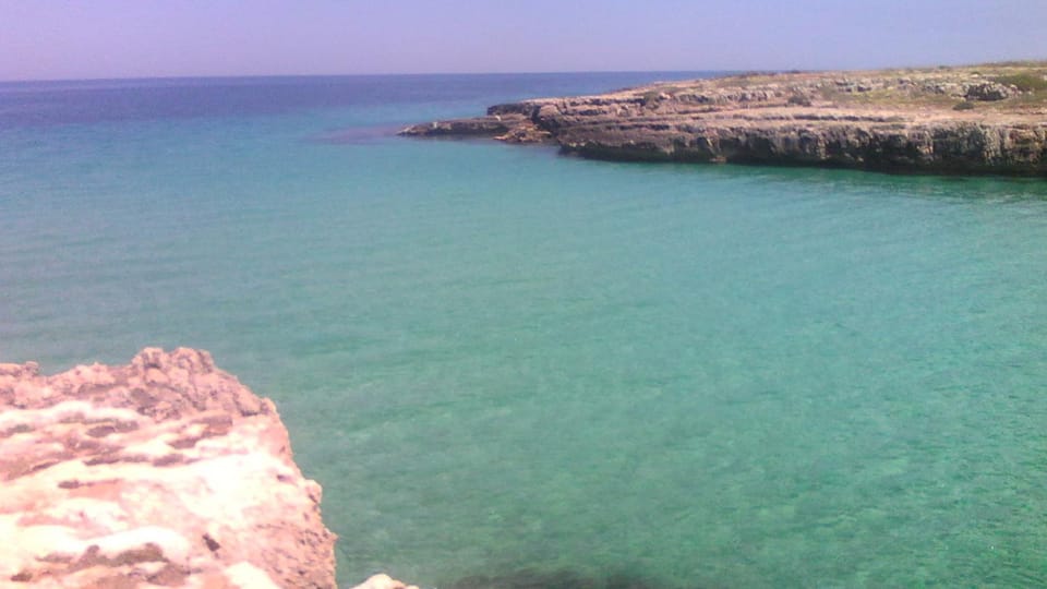Natural landscape