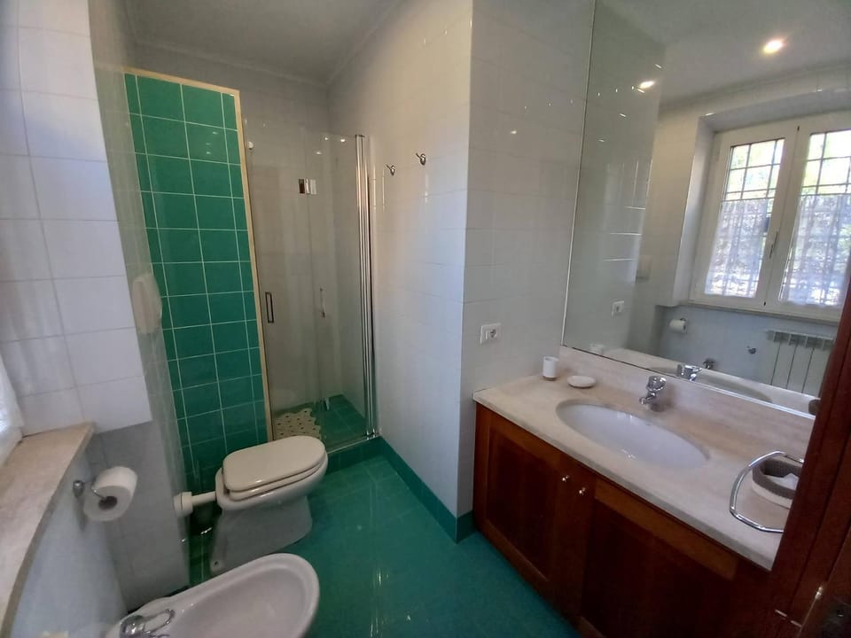 Shower, Toilet, Bathroom, bidet