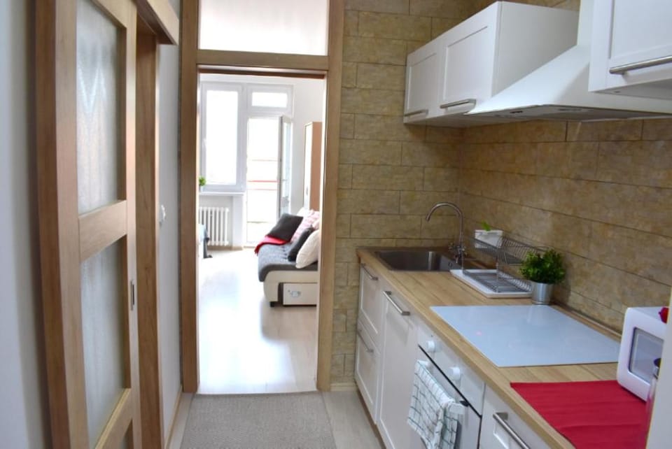 Prague city centre apartment Radka1 Apartment in Prague