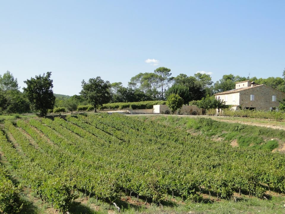 View (from property/room), Garden view, Landmark view