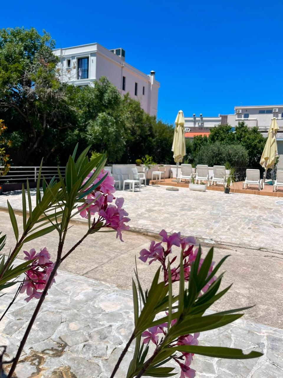 Apartmani DAR DJUROVIC Apartment in Ulcinj Municipality