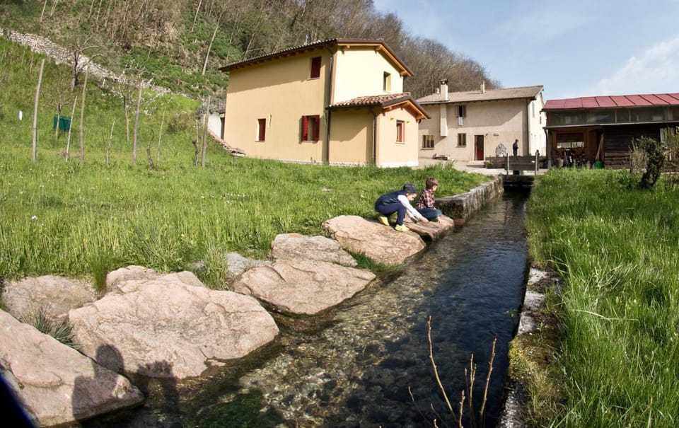 Garden, River view